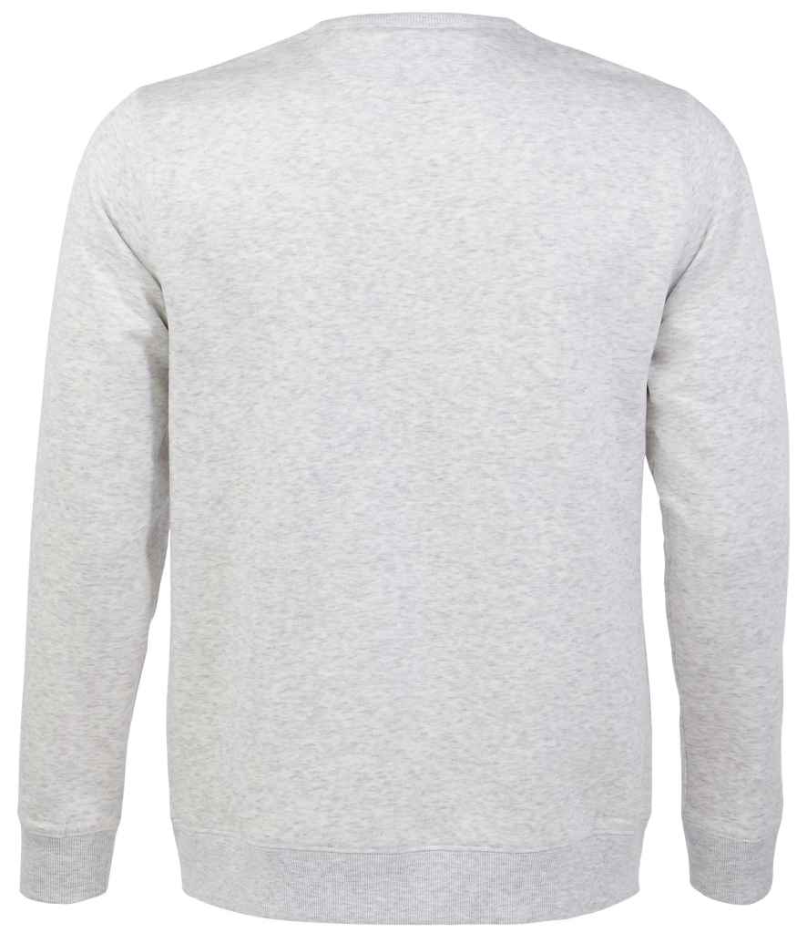 02990 ASH BACK