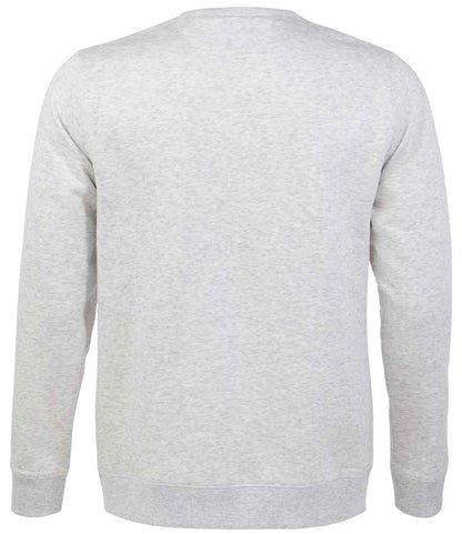 02990 ASH BACK