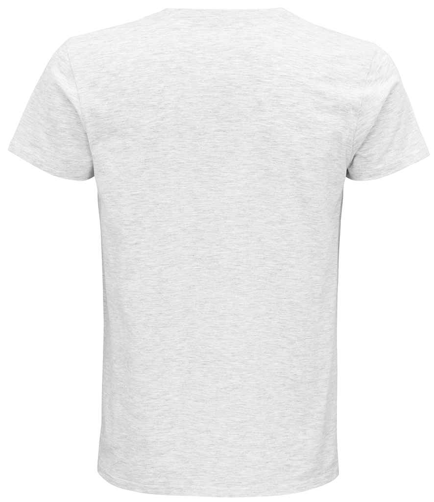 03565 ASH BACK