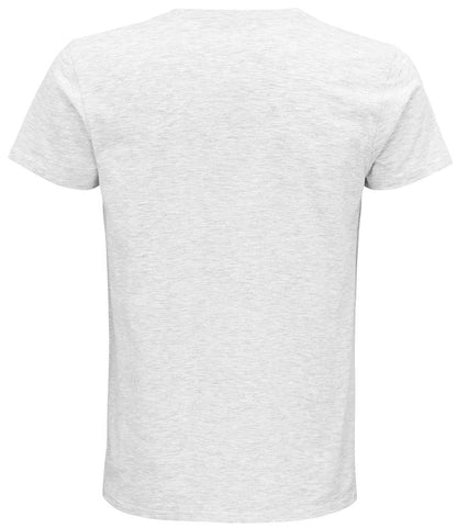 03565 ASH BACK