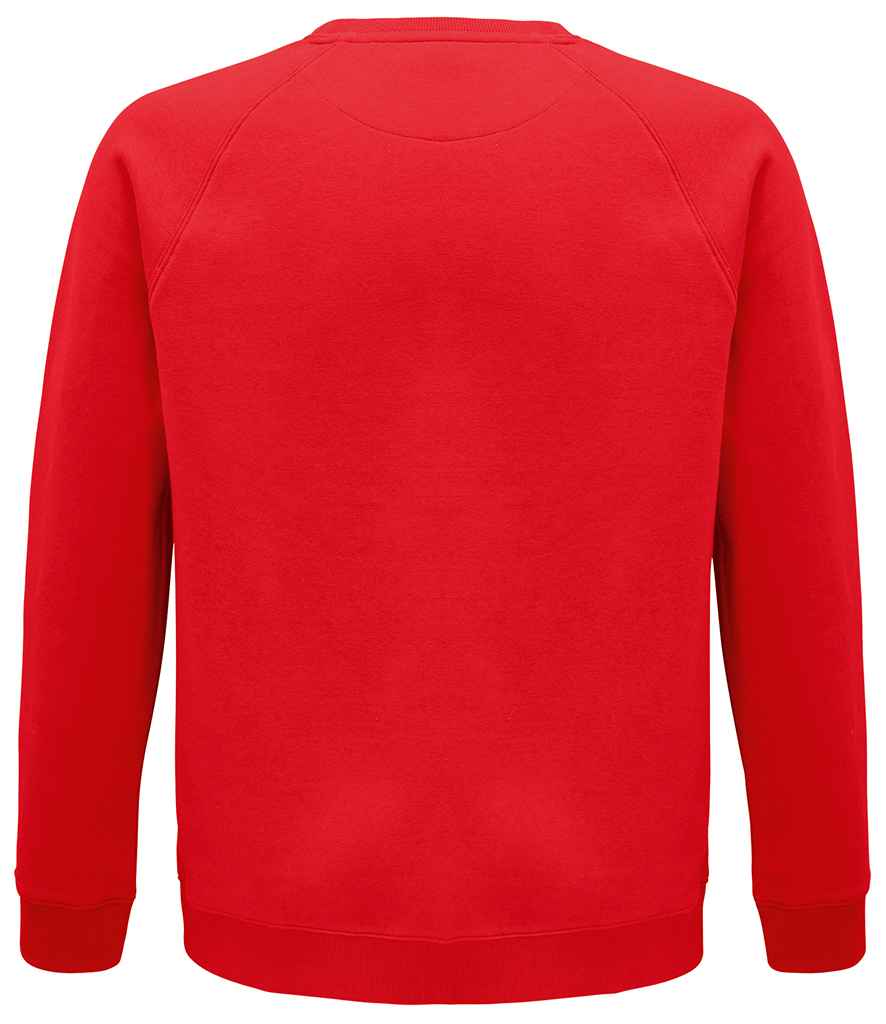 03567 RED BACK