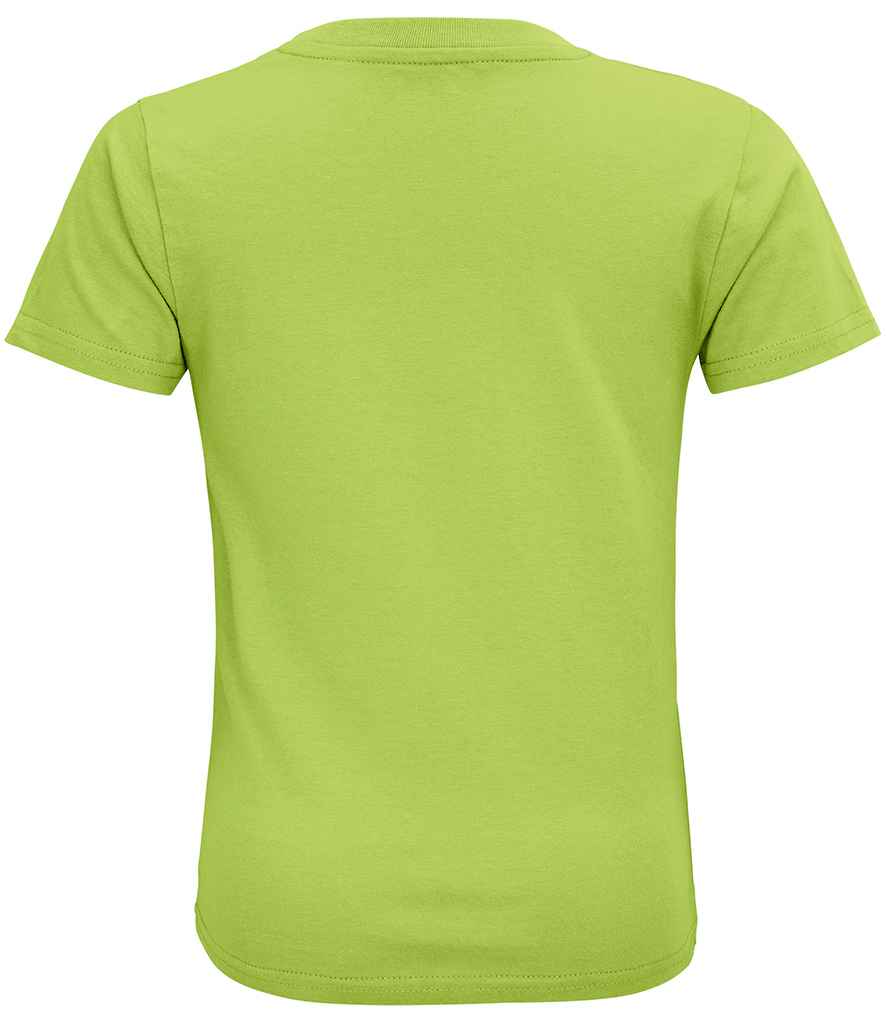 03580 APL BACK