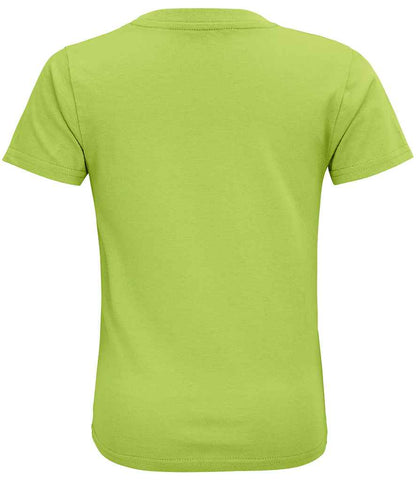 03580 APL BACK