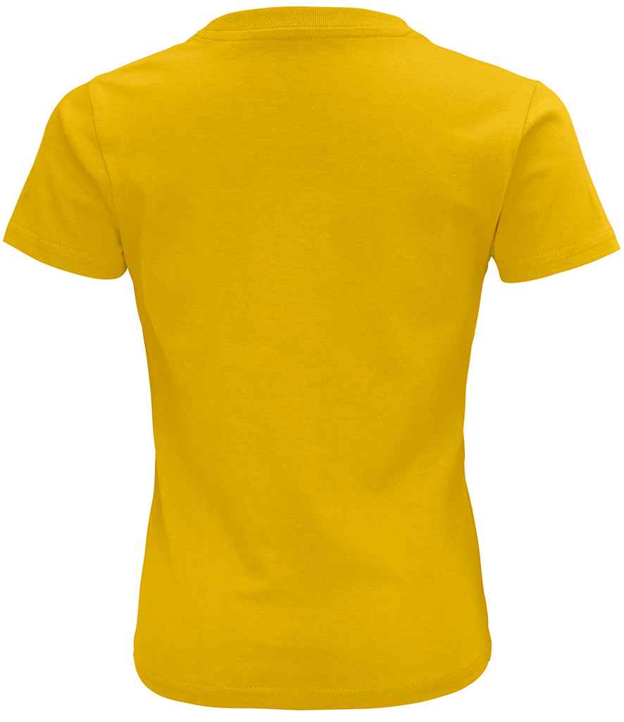 03580 GOL BACK
