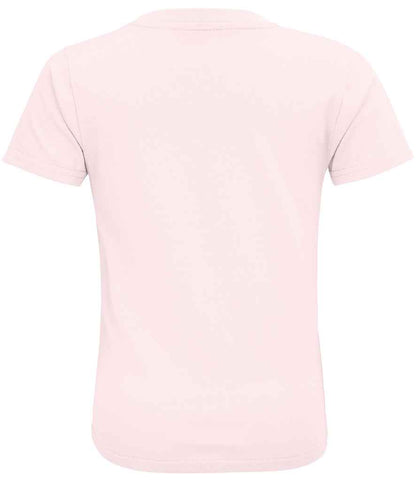03580 PPN BACK