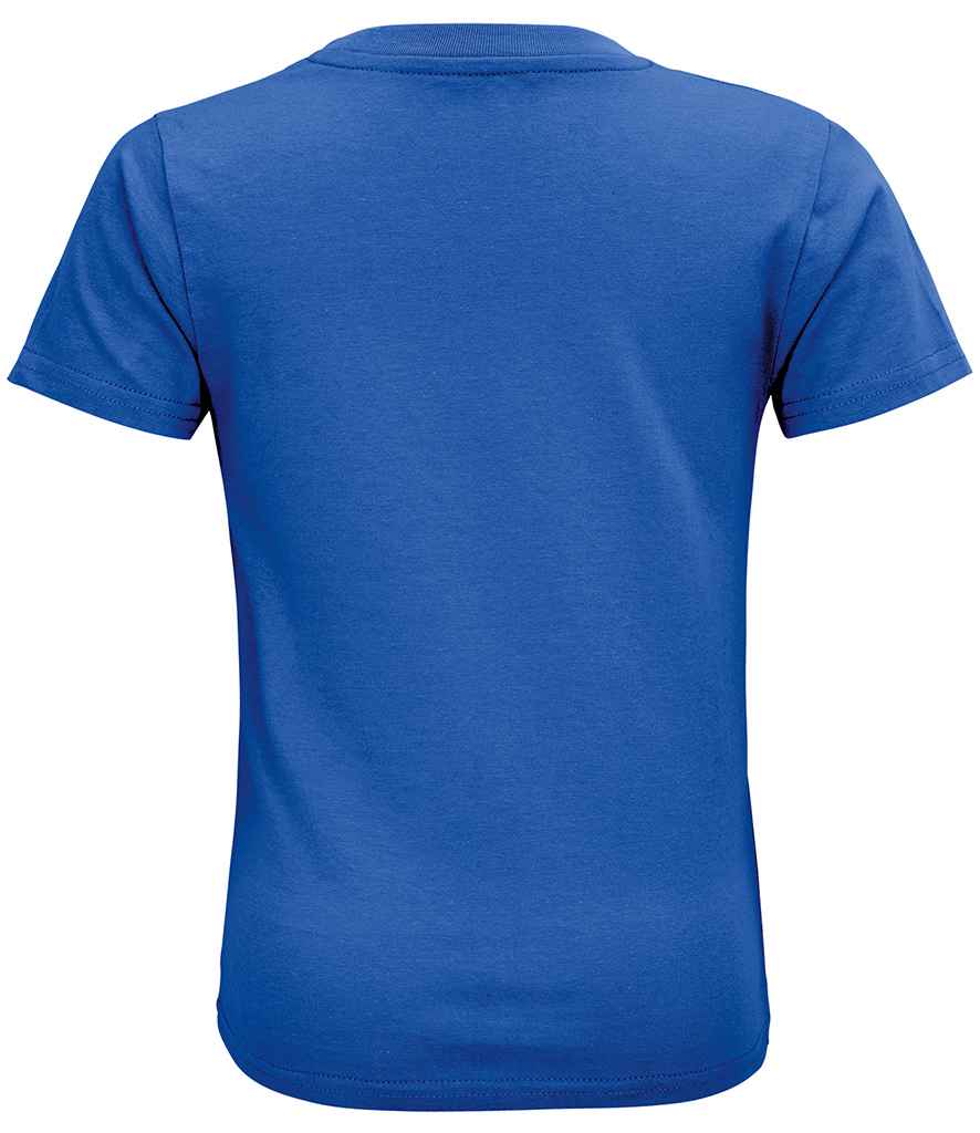 03580 ROY BACK