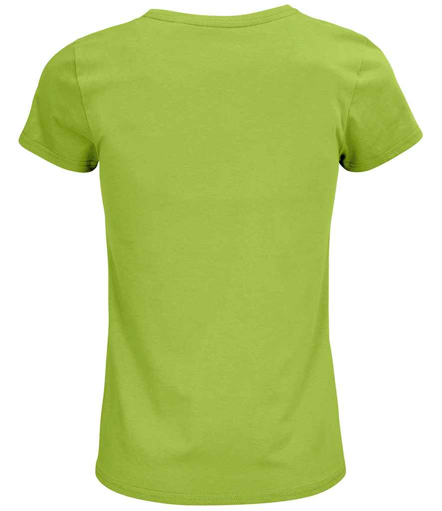 03581 APL BACK