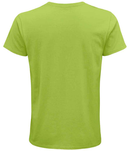 03582 APL BACK