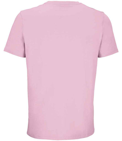 03981 CNP BACK