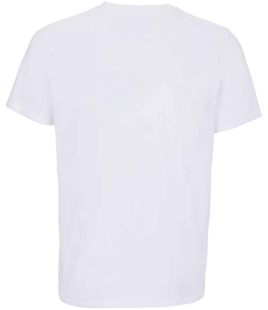 03981 WHI BACK