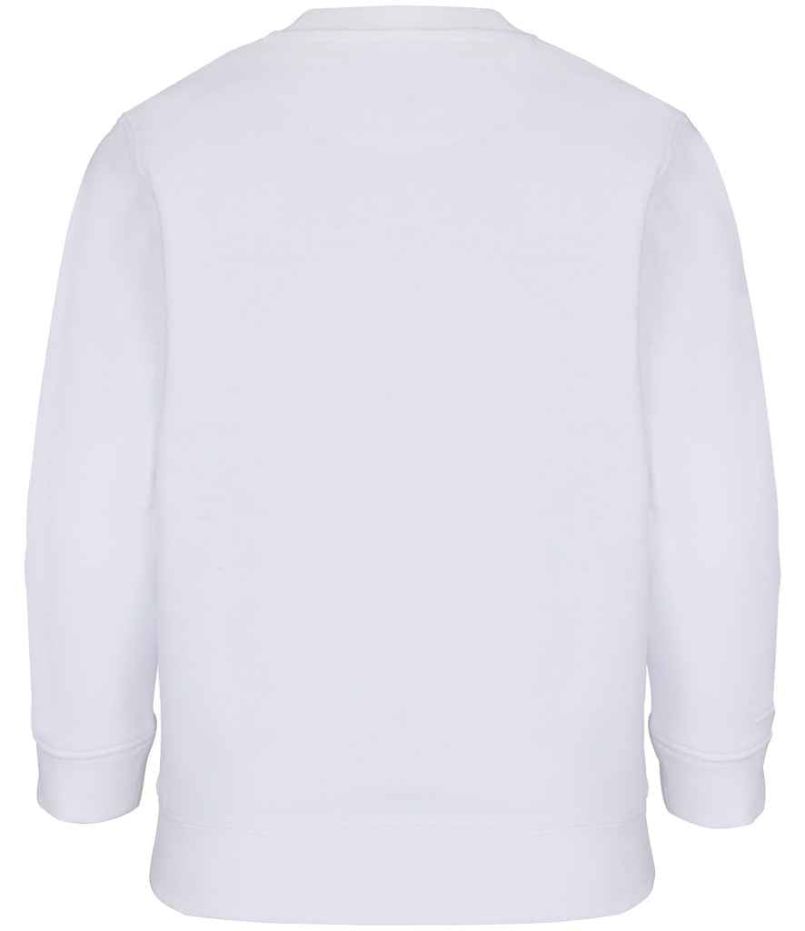 04239 WHI BACK