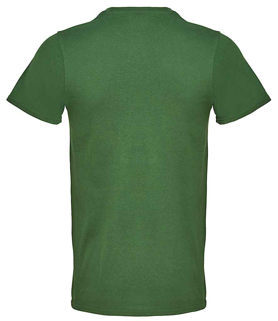 04728 DGN BACK