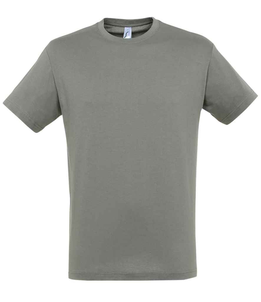 SOL'S Regent T-Shirt - Zinc