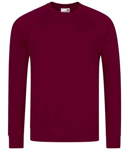 AWDis Academy Senior Raglan Sweatshirt in Burgundy