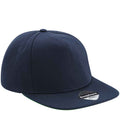 French Navy/French Navy