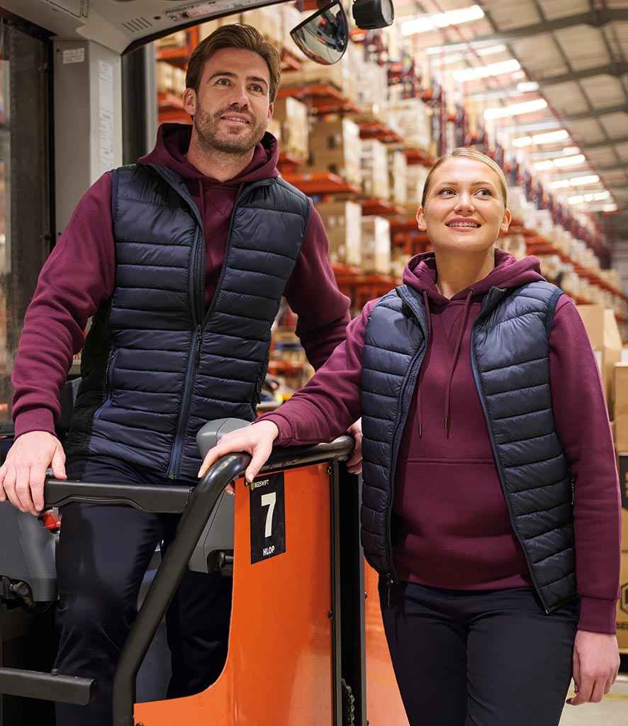 Brook Taverner Ladies Skyline Core Padded Gilet - model image