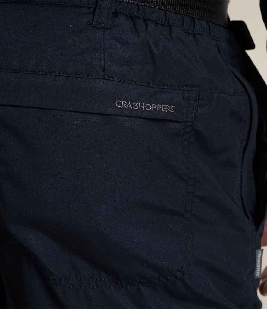 CR231 DKN MODEL 6