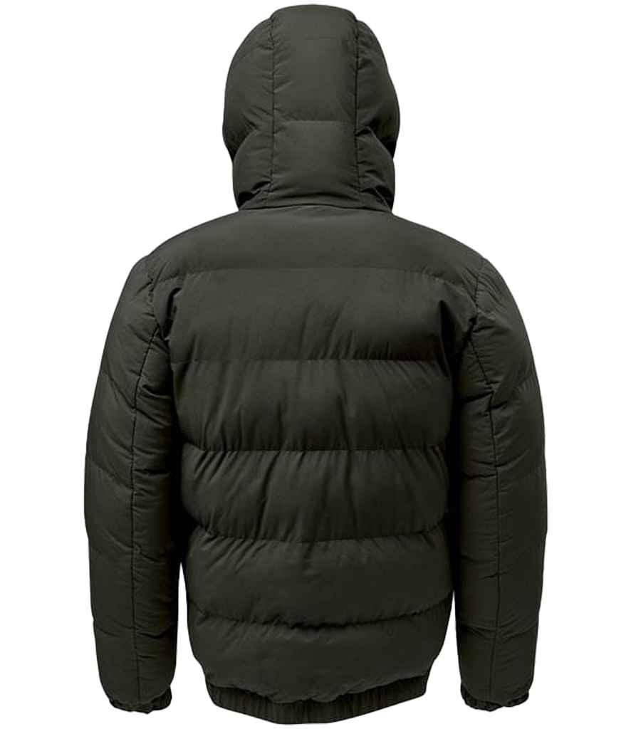 HBX1 GRA BACK