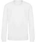 Arctic White