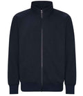 New French Navy