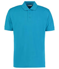 Turquoise Blue