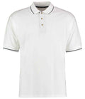 White/Navy