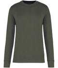 Dark Khaki