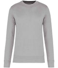 Snow Grey