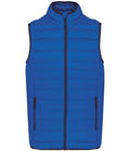 Light Royal Blue