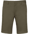 Light Khaki