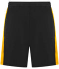 Black/Gold