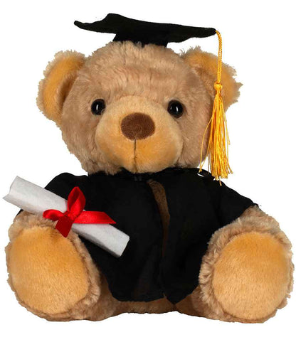 Mumbles Graduation Bear - model image