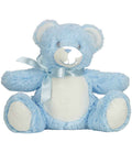 Blue Teddy