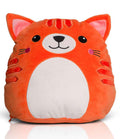 Orange Ginger Cat