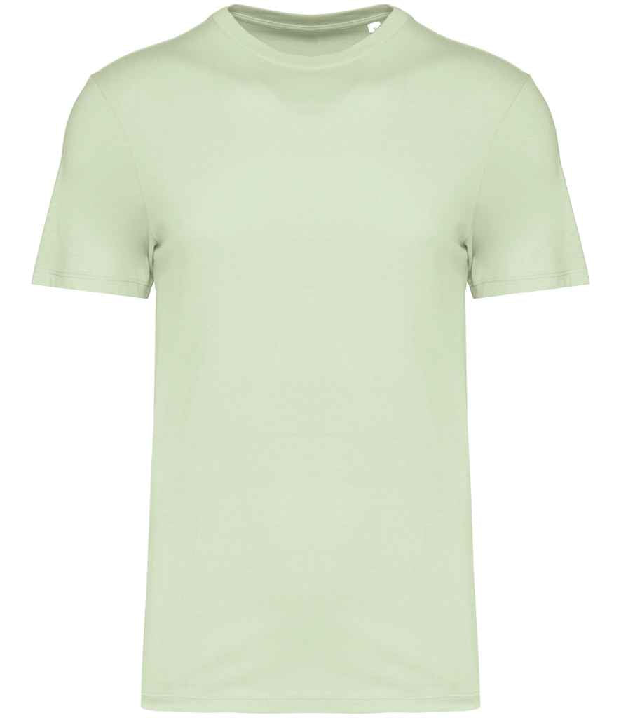Native Spirit Unisex T-Shirt in Celadon Green