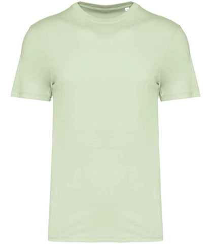 Native Spirit Unisex T-Shirt in Celadon Green