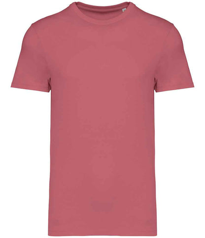 Native Spirit Unisex Heavyweight T-Shirt in Antique Rose