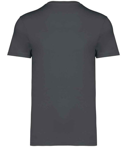 Native Spirit Unisex Heavyweight T-Shirt
