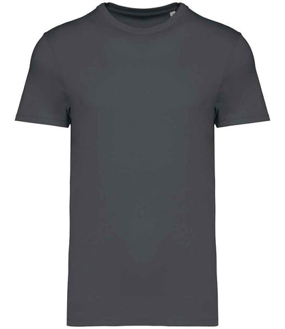 Native Spirit Unisex Heavyweight T-Shirt in Iron Grey
