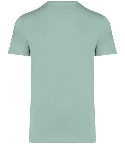 Native Spirit Unisex Heavyweight T-Shirt