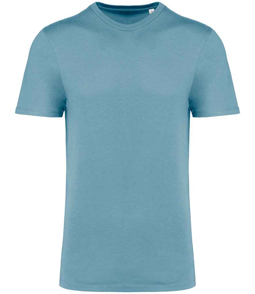Native Spirit Unisex Crew Neck IC T-Shirt in Arctic Blue