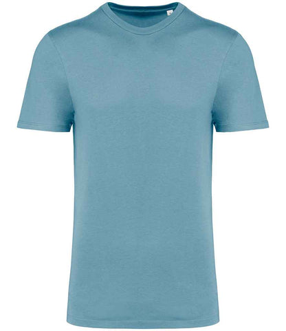 Native Spirit Unisex Crew Neck IC T-Shirt in Arctic Blue