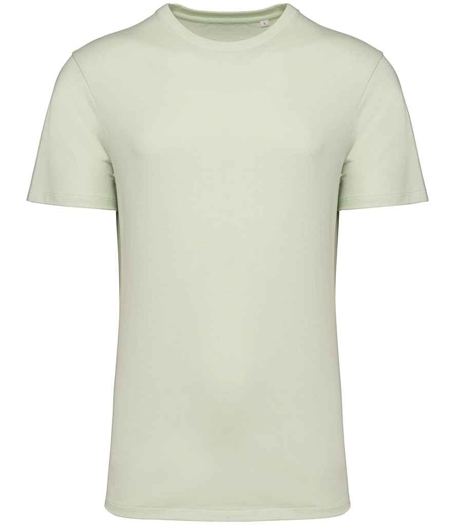 Native Spirit Unisex Crew Neck IC T-Shirt in Celadon Green
