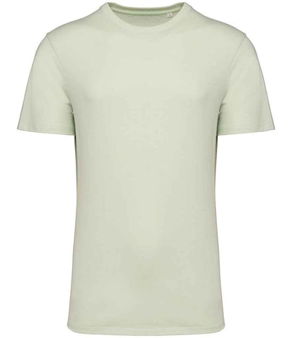 Native Spirit Unisex Crew Neck IC T-Shirt in Celadon Green