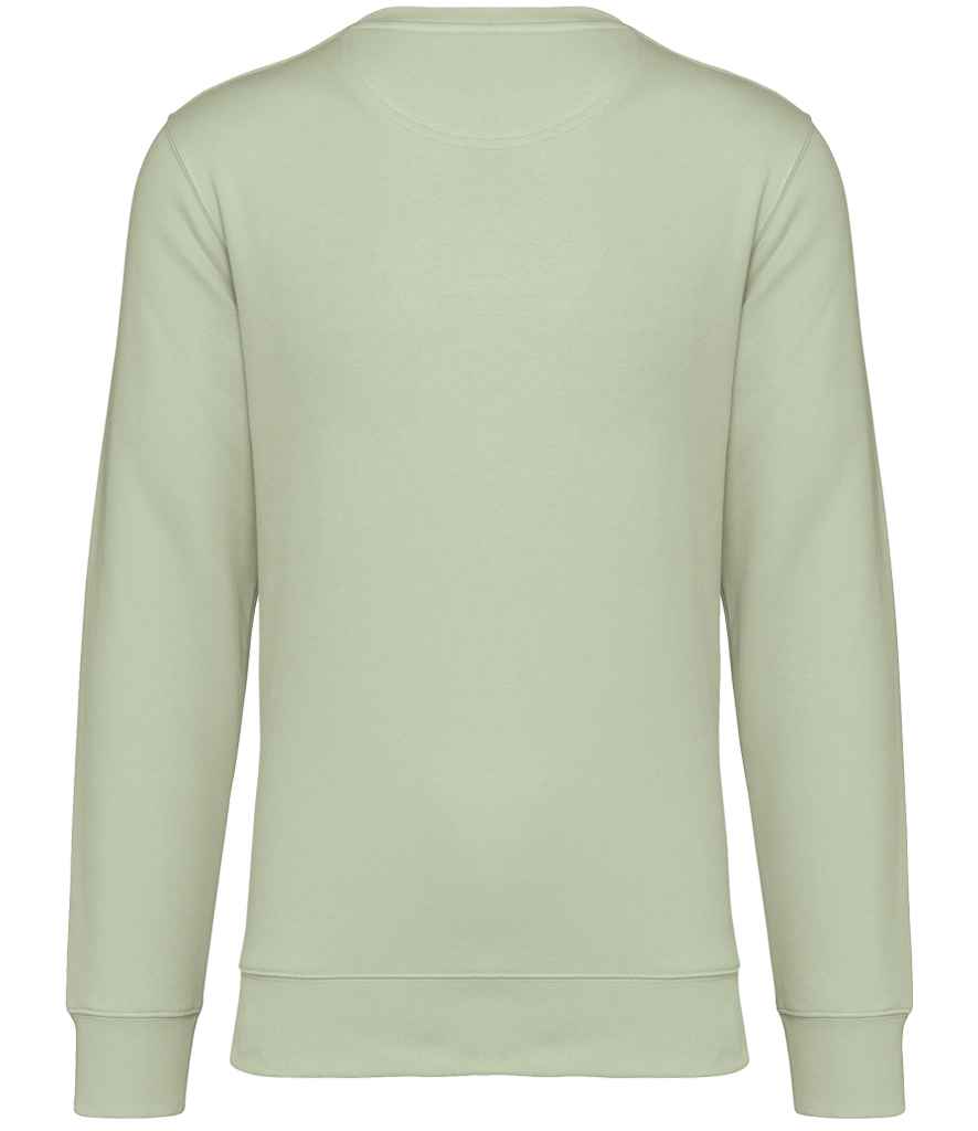 NS400 CEL BACK