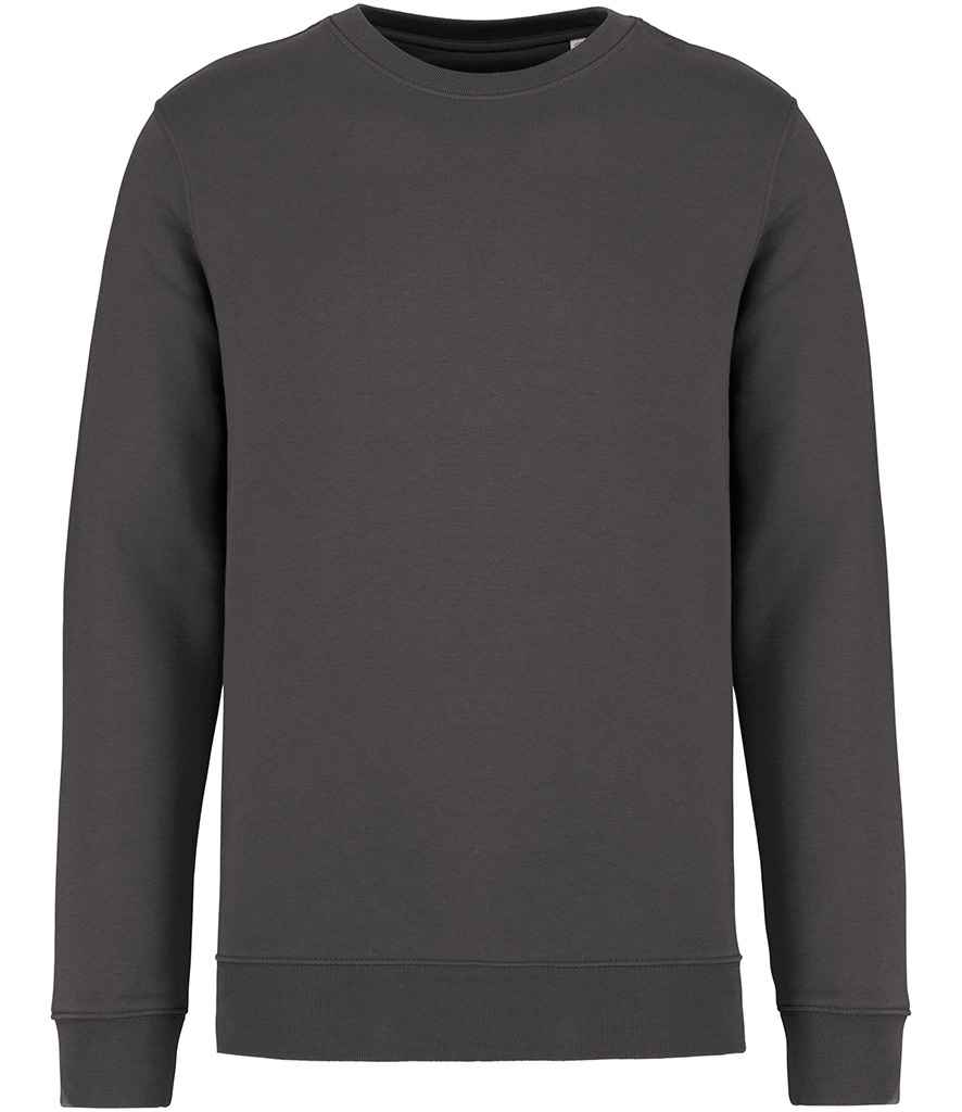 Native Spirit Unisex Crew Neck Sweatshirt in Iron Grey