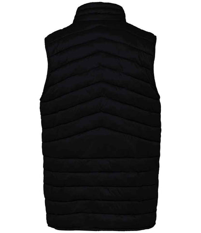 Native Spirit Light Recycled Bodywarmer