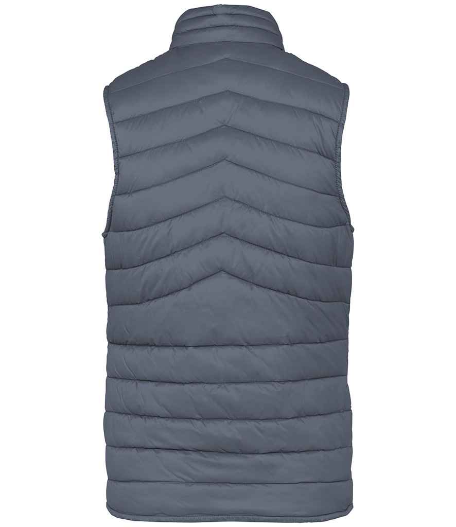 Native Spirit Ladies Light Recycled Bodywarmer