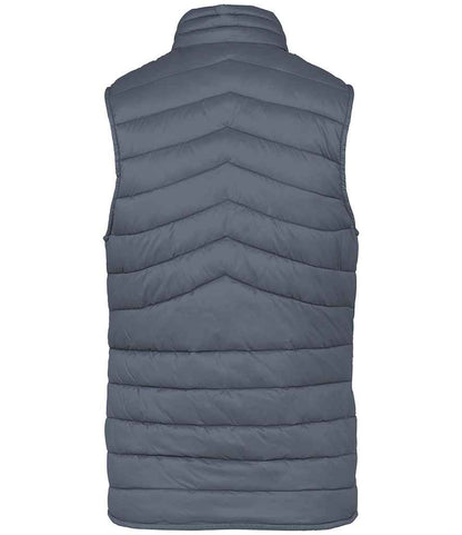 Native Spirit Ladies Light Recycled Bodywarmer