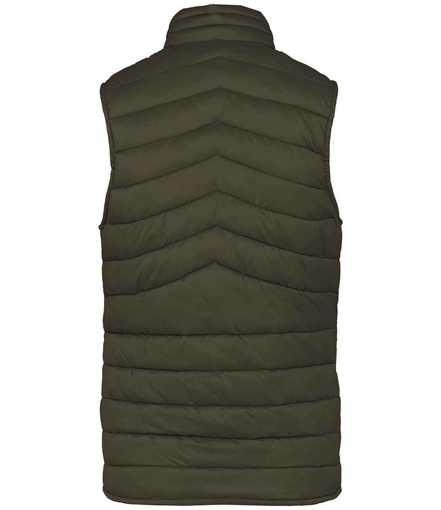 Native Spirit Ladies Light Recycled Bodywarmer